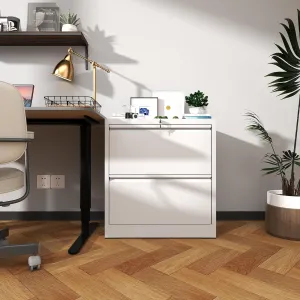 2-Drawer Metal Lateral File Cabinet Printer Stand with Lock - Heavy-Duty Steel,Anti-Tip Design,Quiet Ball-Bearing Slides,Fits Letter/Legal/A4/F4 - Easy Assembly, Home Office Storage Solution (White)