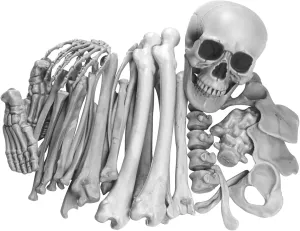 Bag of Bones (28 Pcs) Realistic Fake Skeleton Bones Spooky Plastic Halloween Skeleton Scary Life Size for Halloween, Graveyard Scene, Haunted Houses, Outdoor and IndoorBag of