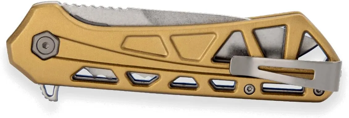 Buck Knives 812 Trace Partially-Serrated Pocket Knife, Bronze