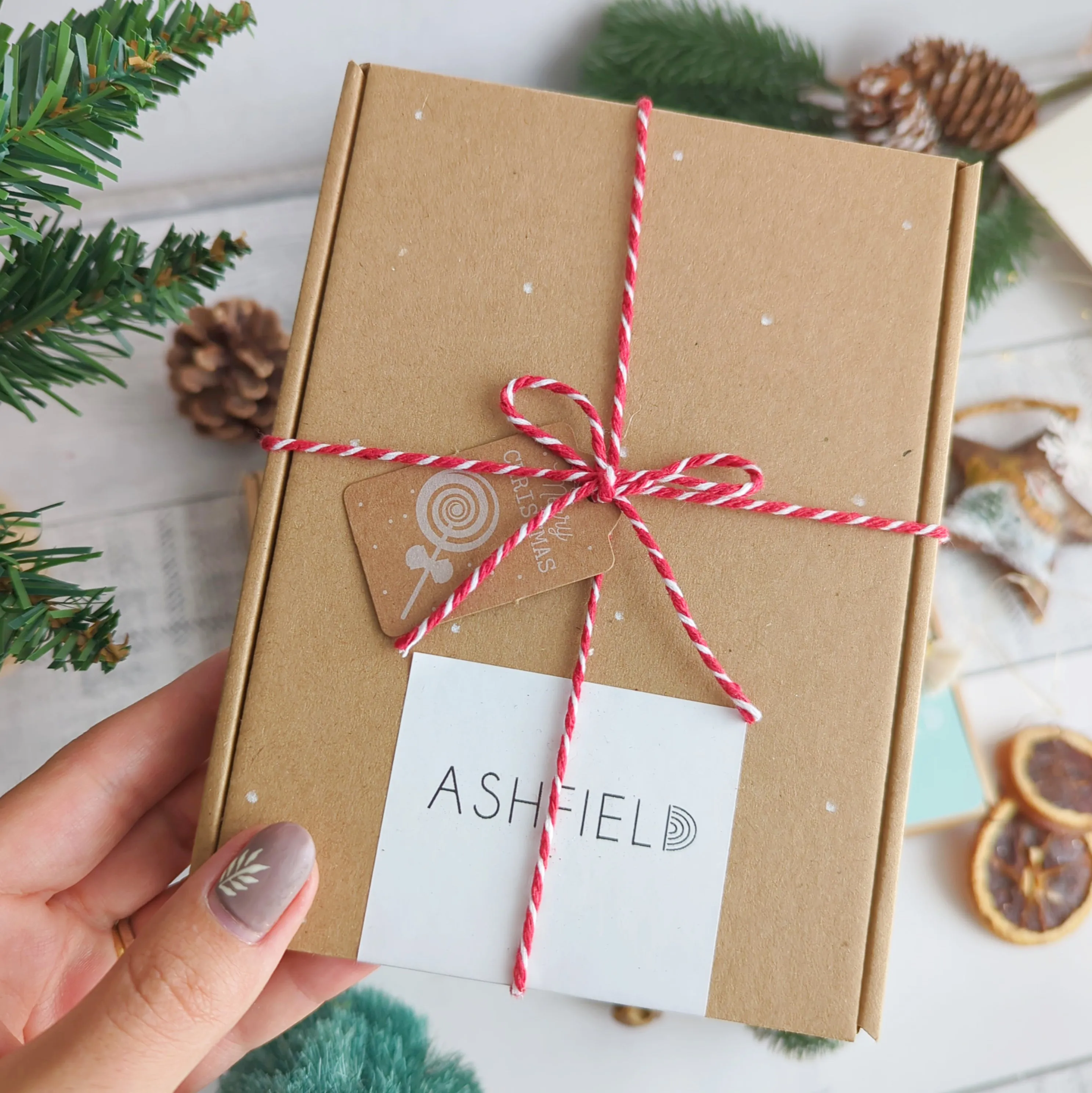 Christmas Wall Hanging (2 colour combos)