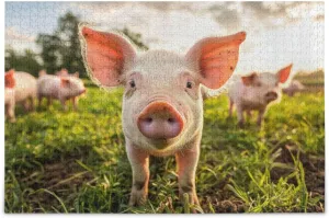 Cute Piglet Grassland Jigsaw Puzzle for Adults 1000 Pieces, Extremely Challenging and Difficult Puzzle for Family Games, Party Entertainment, and Brain Teasing Fun