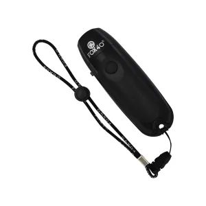 Electronic Whistle