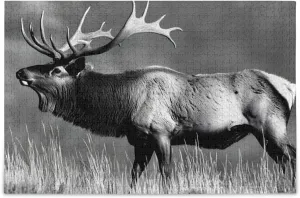 Jigsaw Puzzle Elk Grassland Black White for Adults 500 Pieces, Extremely Challenging and Difficult Puzzle for Family Games, Party Entertainment, and Brain Teasing Fun