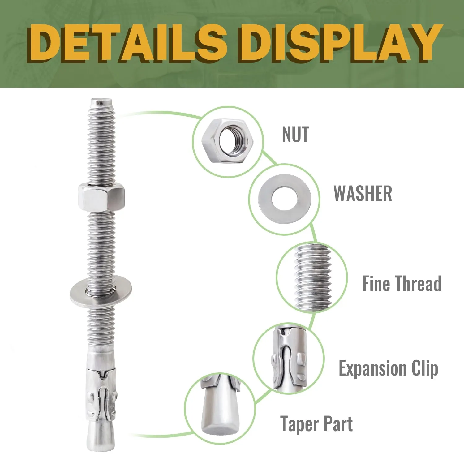 LIONMAX Stainless Steel Concrete Anchor Bolts 3/8" x 5 Inch, 12-Pack Wedge Anchors for Concrete Cement Wall Base Bracket, Rust and Corrosion Resistant