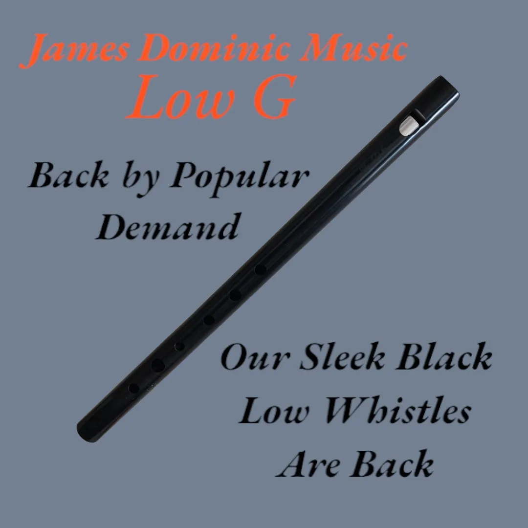 Low G Whistle – Easy-to-Handle Design for Beginners & Pros