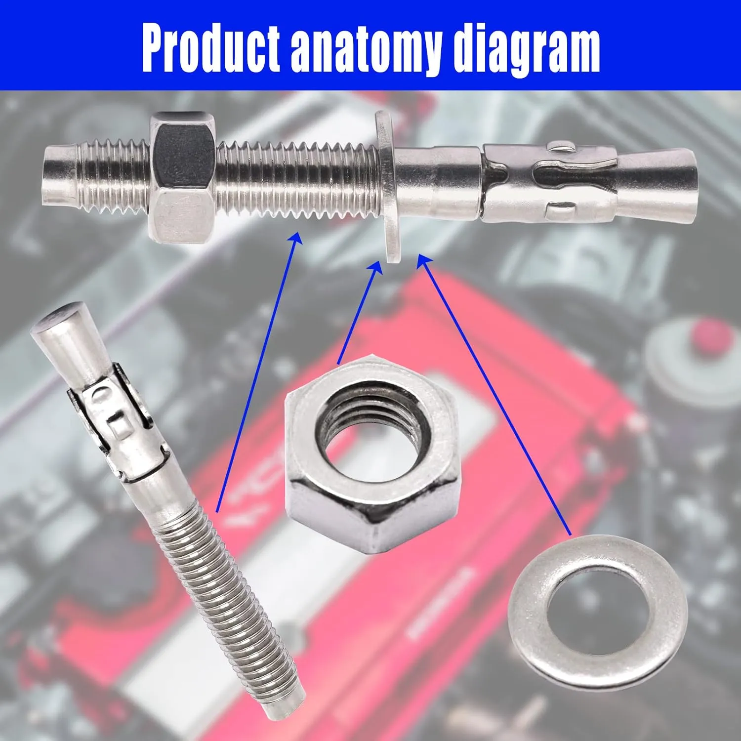 Stainless Steel Concrete Anchors, Heavy Duty Wedge Anchor Fasteners 1/2 inch x 4 inch (10 Pcs)