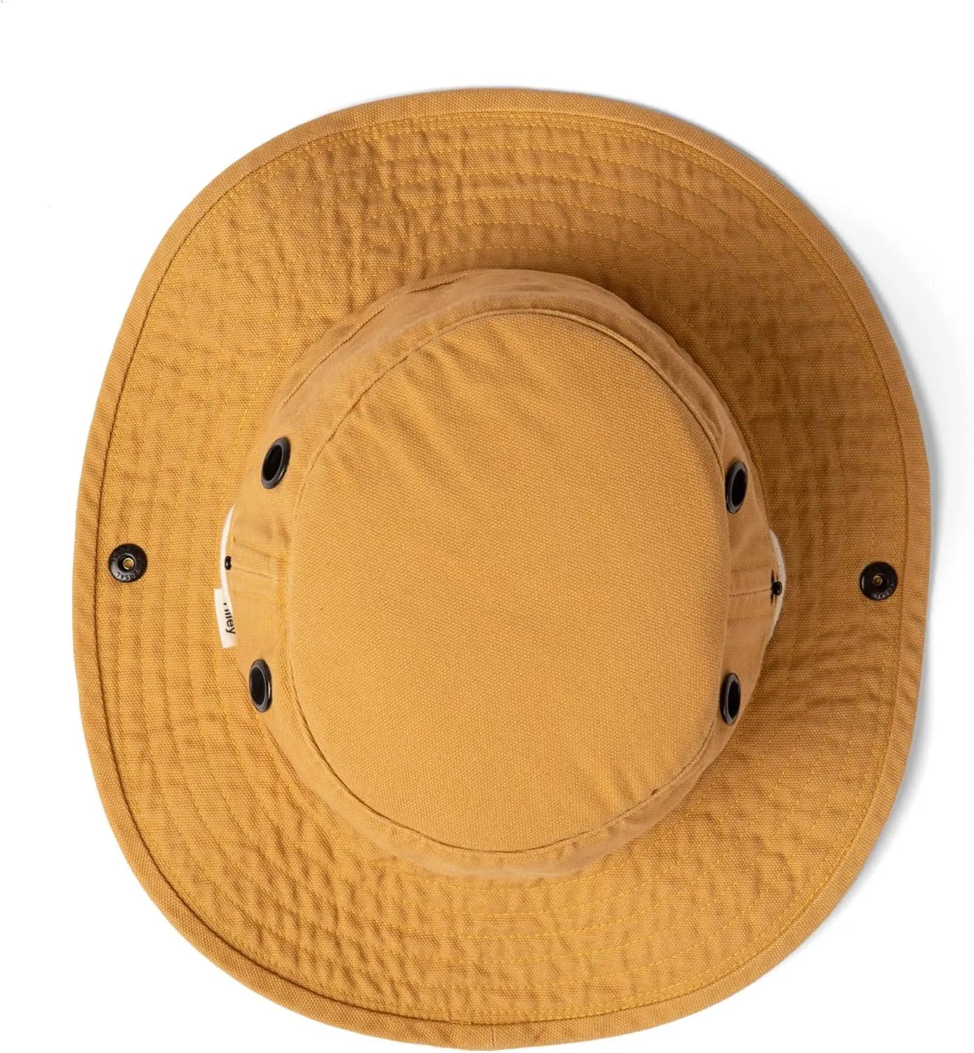 Tilley Women's T3 Wanderer