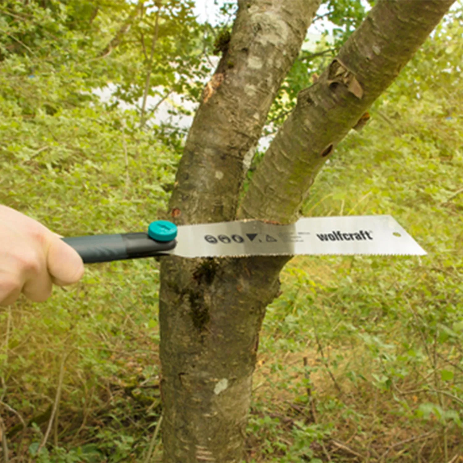 wolfcraft Japanese Saw for Fine and Coarse Cuts with 240mm Blade